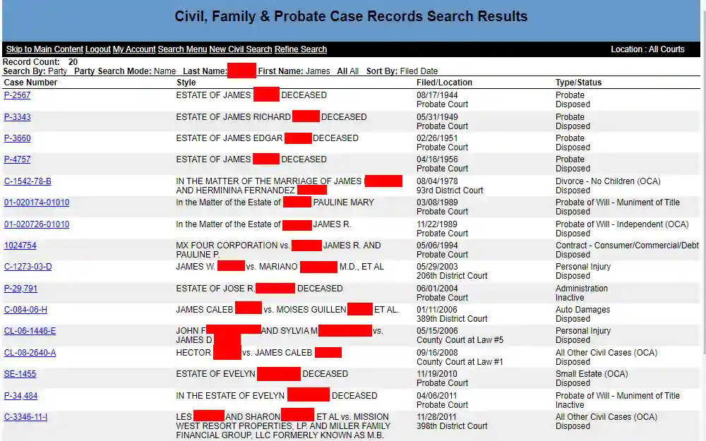 A screenshot of a sample Civil, Family & Probate Search Case Records results showing the list of matching cases with their case numbers, styles, filed locations, type/status, and links routed to detailed information about the cases. 