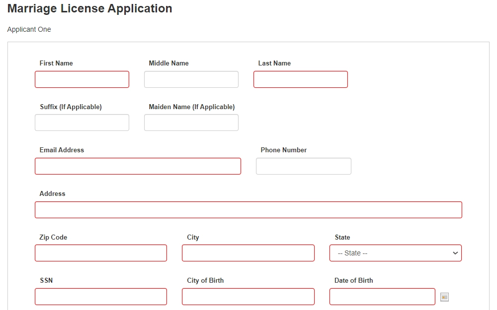 Screenshot of the online application form, showing the section for one applicant, with fields for full name, contact information, address, social security number, and birth details.